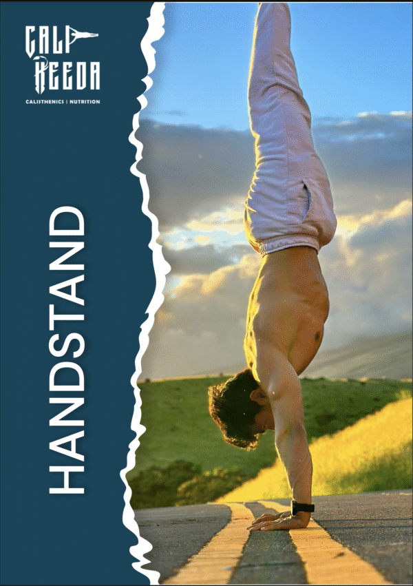 Handstand Program.pdf Beginners Calisthenics Handstand Guide PDF by Calikeeda